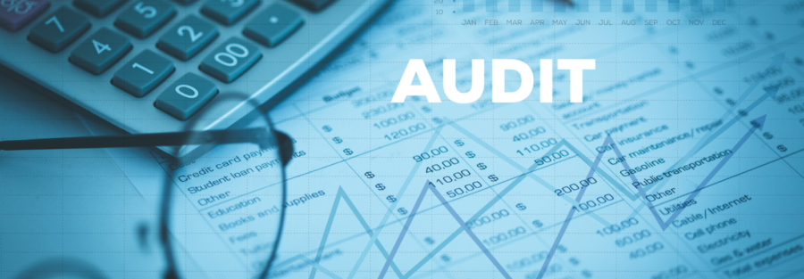 Audit report - APT Global